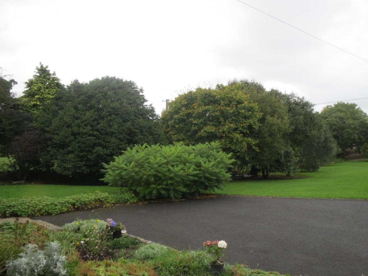 Abbey View Bed & Breakfast Galway Kültér fotó